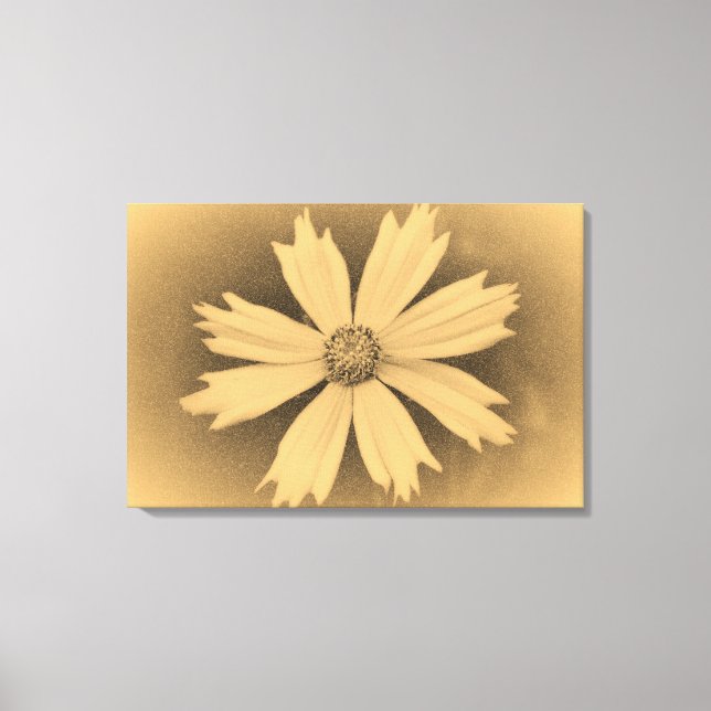 Lienzo Fotografía antigua Cosmos Amarillo Flor Primer pla (Anverso)
