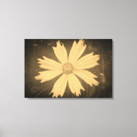Fotografía antigua del Cosmos Amarillo Flower Clos