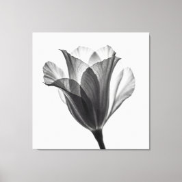 Lienzo Fotografía artística botánica monocroma