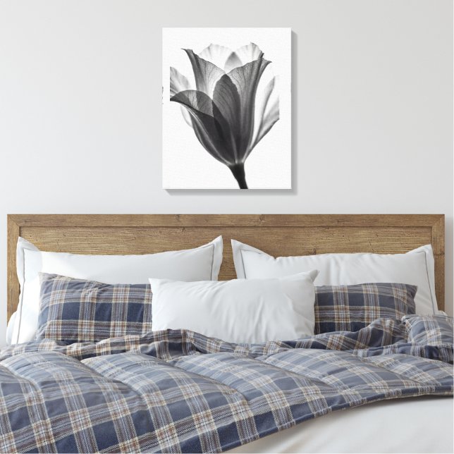 Lienzo Fotografía artística botánica monocroma (Insitu(Dormitorio))