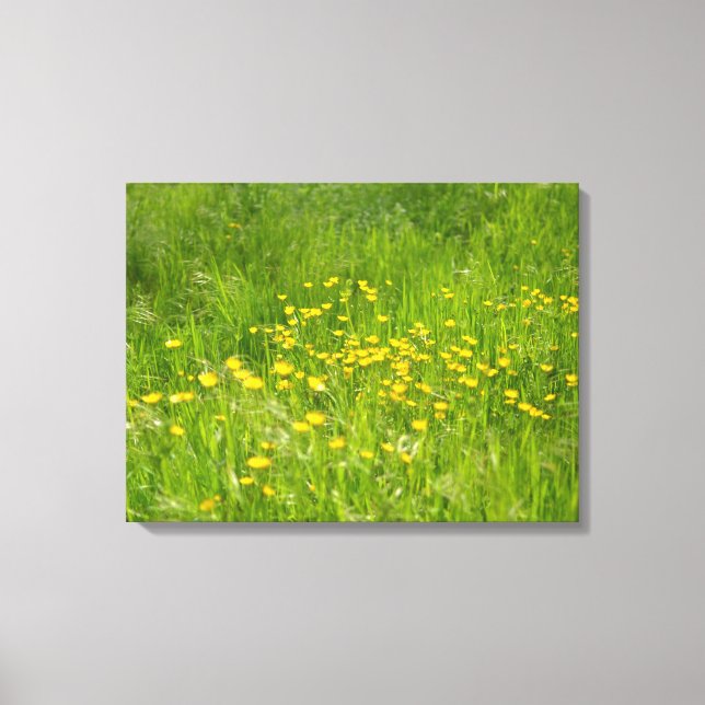 Lienzo Fotografía botánica floral amarilla de flores silv (Anverso)