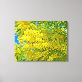 Lienzo Fotografía botánica floral de flores amarillas de 