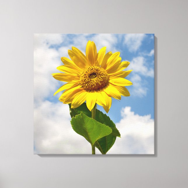 Lienzo Fotografía botánica floral de girasol simple (Anverso)