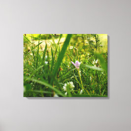 Lienzo Fotografía Botánica Floral Púrpura de Flores Silve