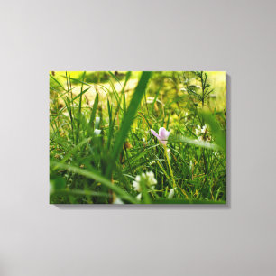 Lienzo Fotografía Botánica Floral Púrpura de Flores Silve