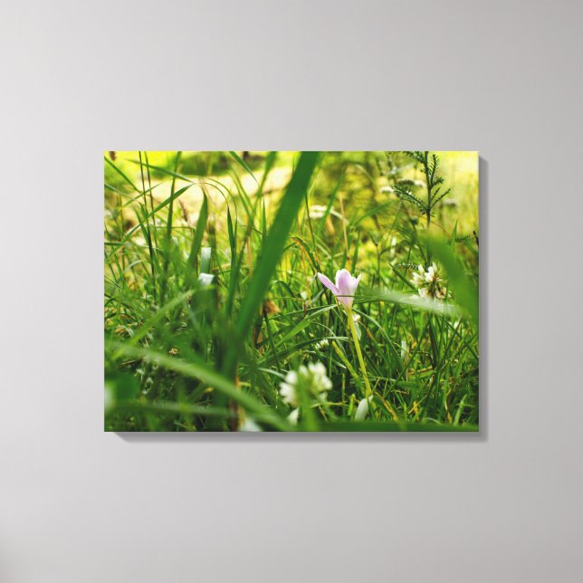 Lienzo Fotografía Botánica Floral Púrpura de Flores Silve (Anverso)