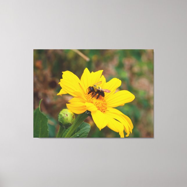 Lienzo Fotografía de abeja polinizando flor amarillo bril (Anverso)