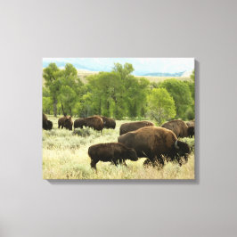 Lienzo Fotografía de animales de la naturaleza de Wyoming