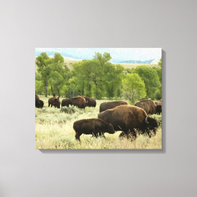 Lienzo Fotografía de animales de la naturaleza de Wyoming (Anverso)
