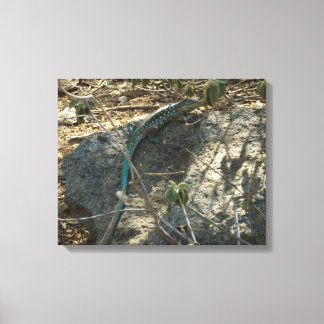 Lienzo Fotografía de animales tropicales del lagarto cola