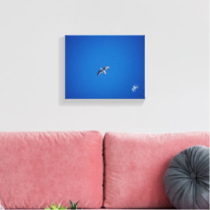 Lienzo Fotografía de ave en cielo azul espacio abierto