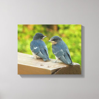 Lienzo Fotografía de aves de la naturaleza golondrinas de