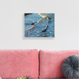 Lienzo Fotografía de aves olas bahía de Motín Freeland