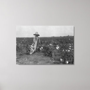 Lienzo Fotografía de Boy Picking Cotton al Oeste, Texas