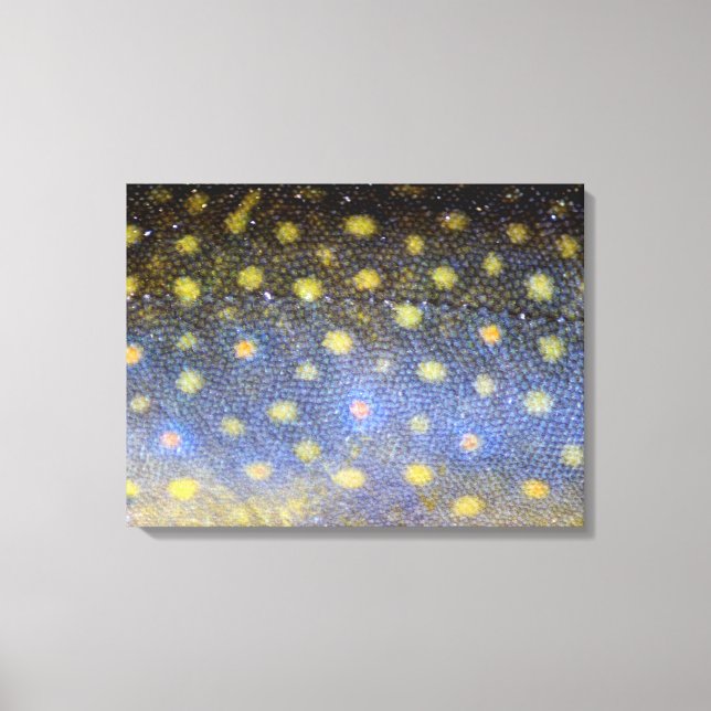 Lienzo Fotografía de Brook Trout Scales (Anverso)