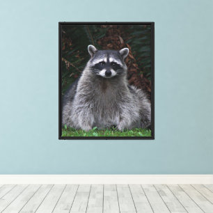 Lienzo Fotografía de Cute Forest Raccoon