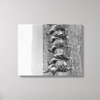 Fotografía de danza maorí de guerra