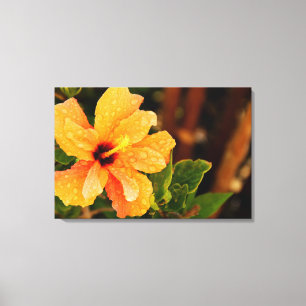 Lienzo Fotografía de Flor de Hibisco