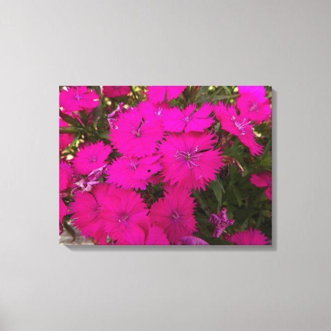 Lienzo Fotografía de flores rosadas brillantes (Anverso)