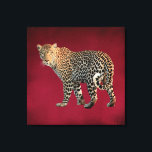 Lienzo Fotografía de Gato Salvaje de Leopard Spots<br><div class="desc">Un leopardo visto con hermosas marcas. Interesante patrón de manchas y suave piel dorada. Mirando hacia atrás con una mirada penetrante. Se establece en un fondo rojo real.</div>