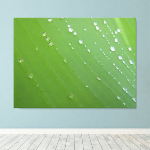 Lienzo Fotografía de gotas de lluvia de vida en hoja esme