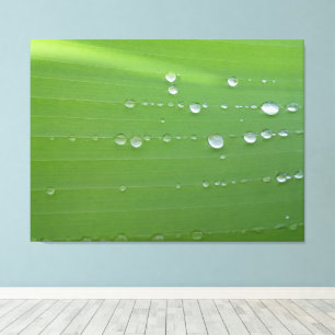 Lienzo Fotografía de gotas de lluvia en hoja verde