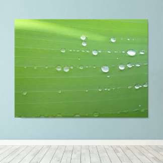 Lienzo Fotografía de gotas de lluvia en hoja verde