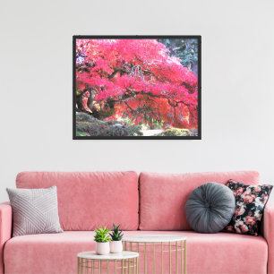 Lienzo Fotografía de hojas rosadas de arce japonesas