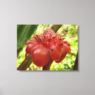 Lienzo Fotografía de la Flor Tropical del jengibre de la