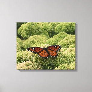 Lienzo Fotografía de la hermosa naturaleza de la mariposa