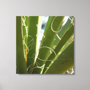 Lienzo Fotografía de la naturaleza de hojas de yuca verde