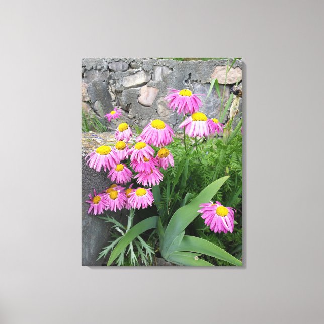 Lienzo Fotografía de la naturaleza de las flores de marga (Anverso)