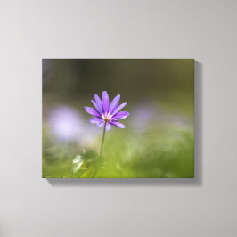 Lienzo Fotografía de la naturaleza de los girasoles morad