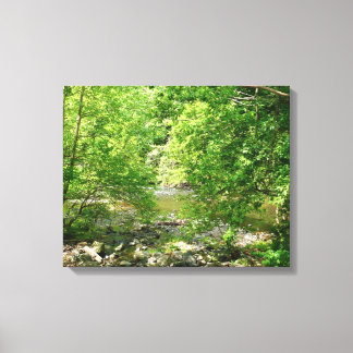 Lienzo Fotografía de la naturaleza de Maryland vista del 