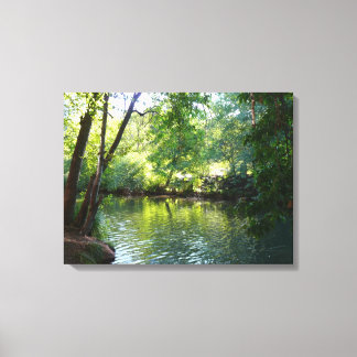 Lienzo Fotografía de la naturaleza de Oak Creek I en Sedo