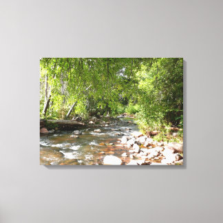 Lienzo Fotografía de la naturaleza de Oak Creek II en Sed