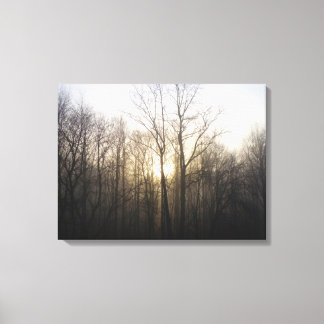 Lienzo Fotografía de la naturaleza del amanecer de niebla
