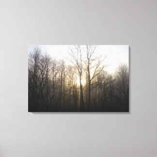 Lienzo Fotografía de la naturaleza del amanecer de niebla