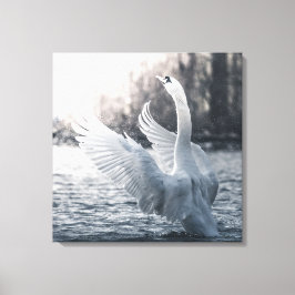 Lienzo Fotografía de la naturaleza del cisne blanco
