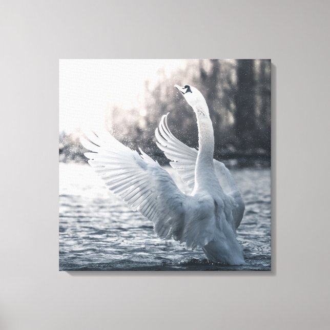 Lienzo Fotografía de la naturaleza del cisne blanco (Anverso)