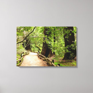 Lienzo Fotografía de la Naturaleza del Sendero de Muir Wo