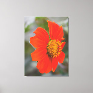 Lienzo Fotografía de la Naturaleza Flor Naranja Cálida Vi