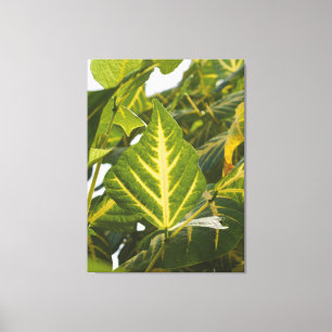 Lienzo Fotografía de la Naturaleza Textura de Hoja Verde