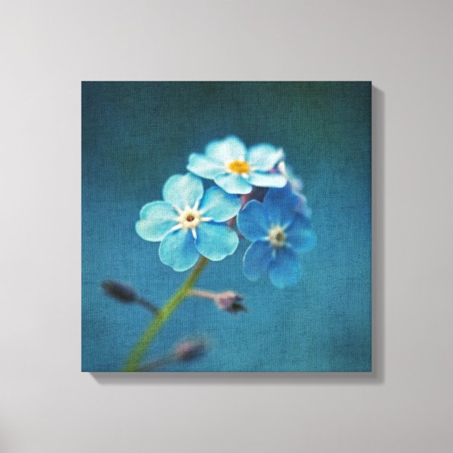 Lienzo Fotografía de macro con flores azules nomeolvides (Anverso)