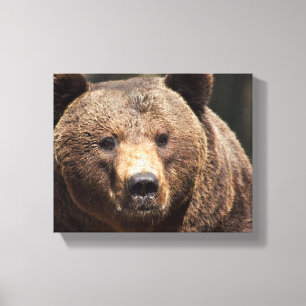 LIENZO FOTOGRAFÍA DE OSO GRIZANTE LLAMADA CANVAS