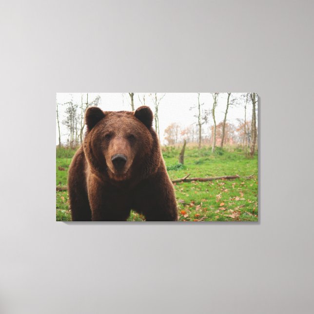 LIENZO FOTOGRAFÍA DE OSO GRIZANTE LLAMADA CANVAS (Anverso)
