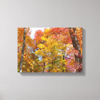 Lienzo Fotografía de otoño de árboles caídos naranjas y a