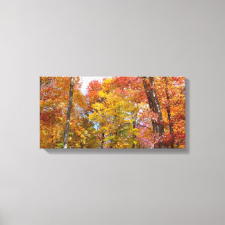 Lienzo Fotografía de otoño de árboles caídos naranjas y a