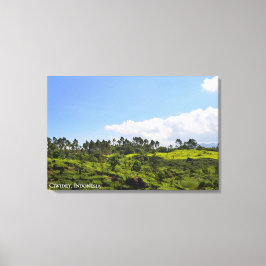Lienzo Fotografía de paisaje de plantación de té Indonesi