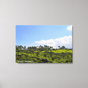 Lienzo Fotografía de paisaje de plantación de té Indonesi